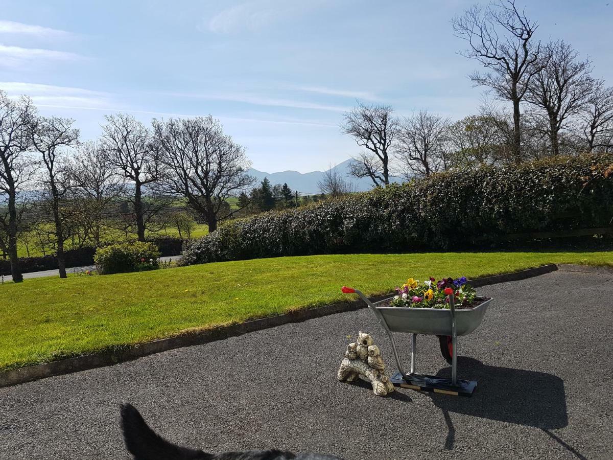 Greenside B&B Westport Extérieur photo